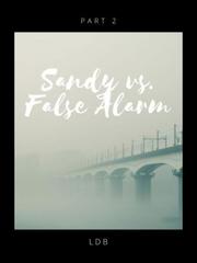 Sandy Versus False Alarm Book