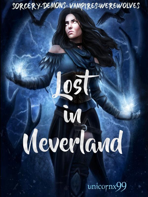 Lost in Neverland Book