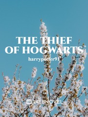 The Thief of Hogwarts Book
