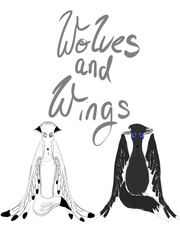 Wolves and wings Book