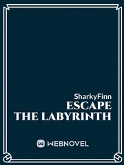 Escape the Labyrinth Book
