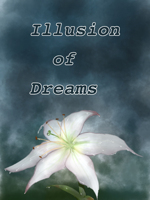 Illusion of Dreams Book