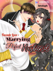 Facade Love: Marrying A Perfect Husband Book