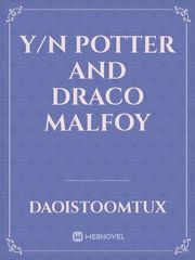 Y/N Potter and Draco Malfoy Book