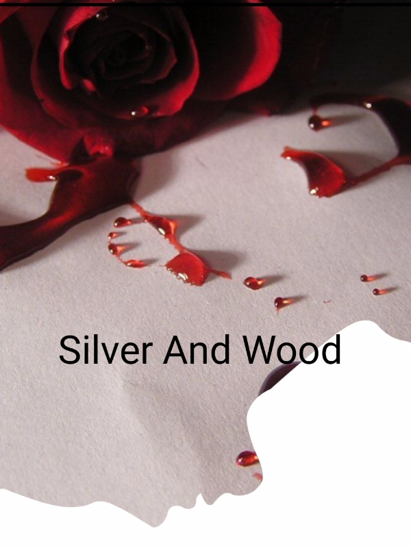 Silver and Wood : The beginning Book