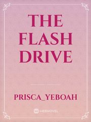 The Flash Drive Book