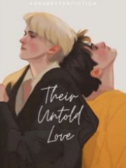 Their Untold Love Book