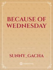 because of Wednesday Book