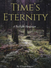 Time's Eternity Book