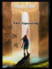 The Opening Book