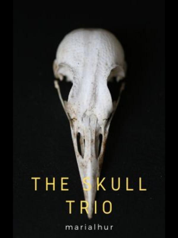 The Skull Trio Book