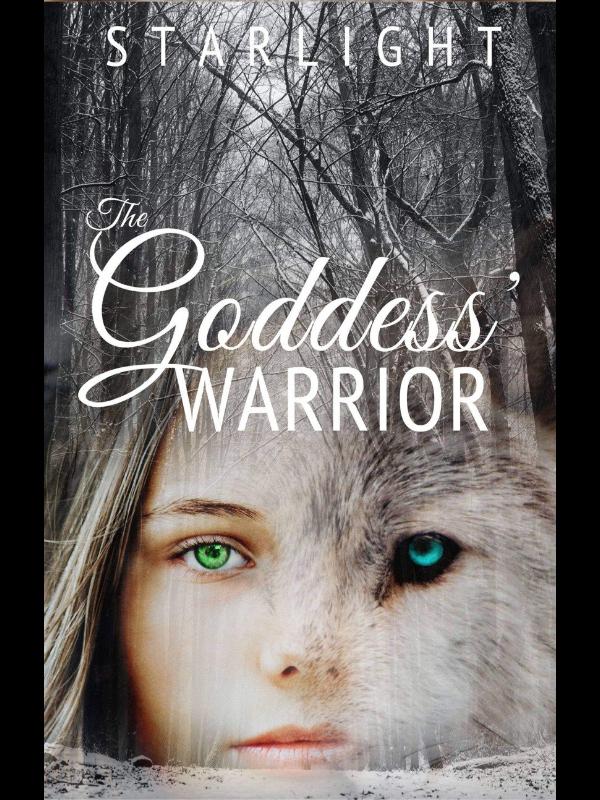 The Goddess' Warrior Book
