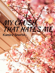 My Crush That Hates Me Book