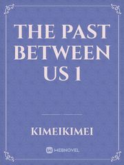 The Past Between Us 1 Book