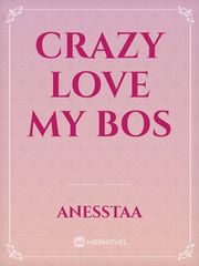 Crazy love My Bos Book