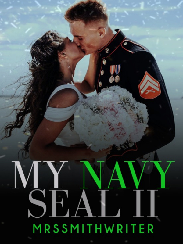 My Navy Seal II: Undeniable Attraction