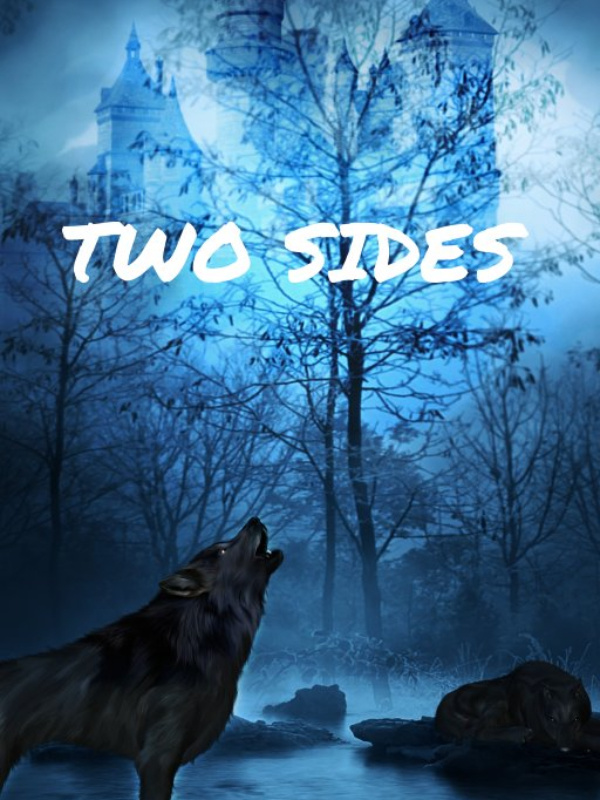 TWO SIDES by Sam
