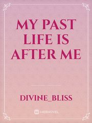 my past life is after me Book
