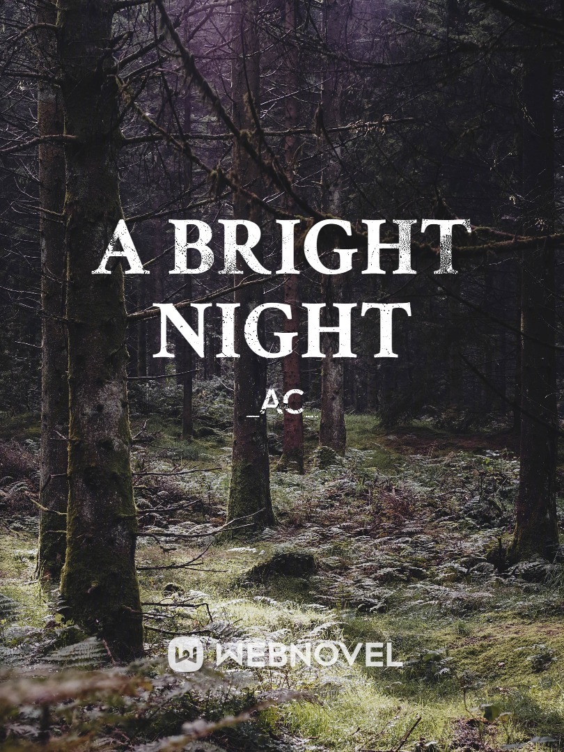 A Bright Night Book