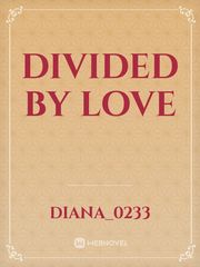 Divided by love Book