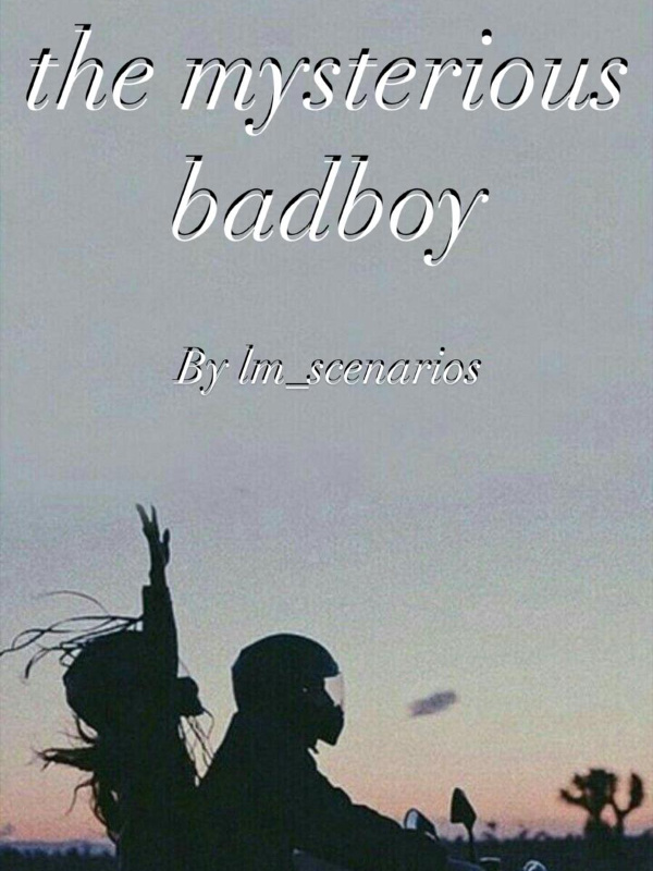 The mysterious badboy Book