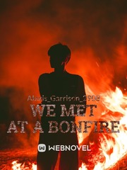 We met at a bonfire Book