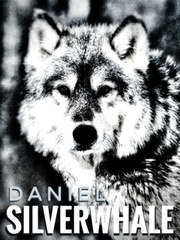 Daniel Silverwhale Book
