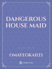 Dangerous house maid Book