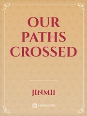 Our paths crossed Book