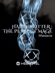 Harry potter : The perfect mage Book