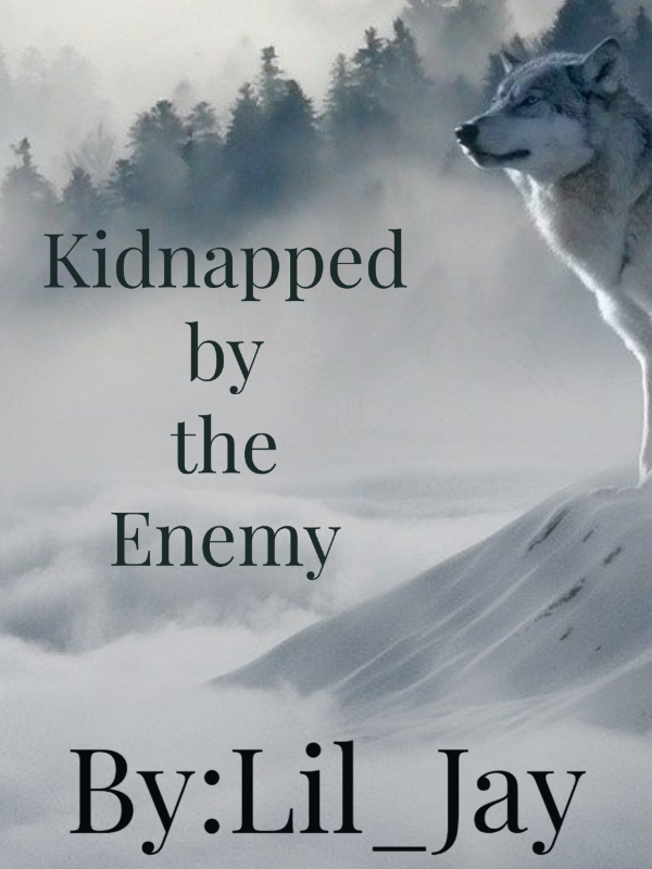 Kidnapped by the Enemy Book