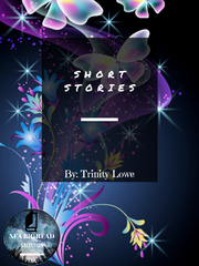 Short Storiesss Book