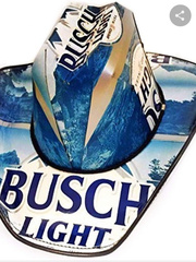 Busch Lite Matters Book