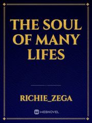 The Soul of Many lifes Book