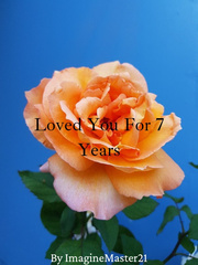 Loved You For 7 Years Book
