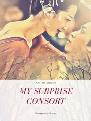 My Surprise Consort Book