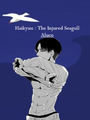 Haikyuu! : The Injured Seagull Book