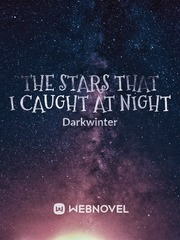 The stars that I caught at night Book