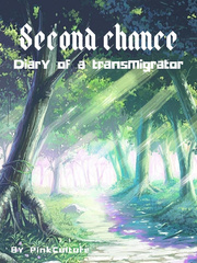 Second chance - Diary of a transmigrator Book