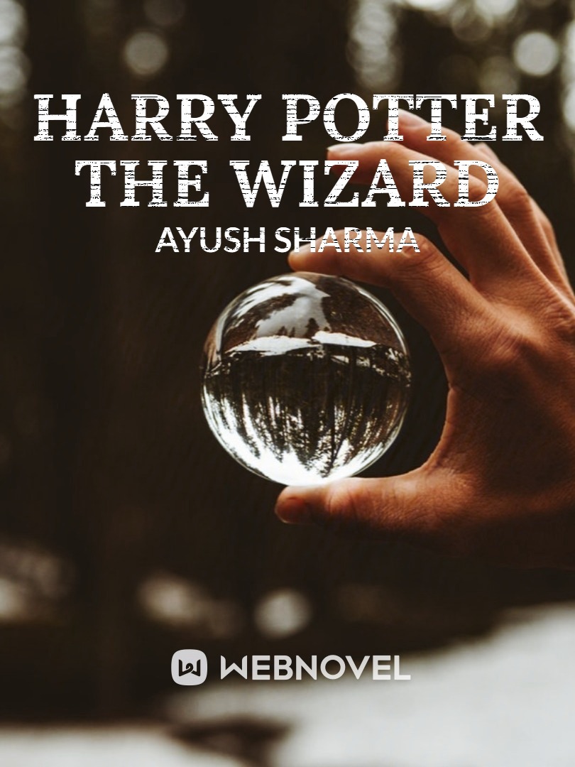 HARRY POTTER THE WIZARDS