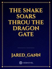 The Snake Soars Throu The Dragon Gate Book