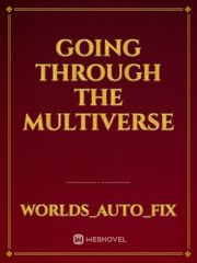 Going Through the multiverse Book
