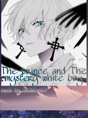 The prince and The mystery white boy {BL} Book