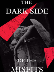 THE DARK SIDE OF THE  MISFITS Book