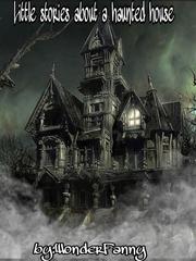 Little stories about a haunted house Book