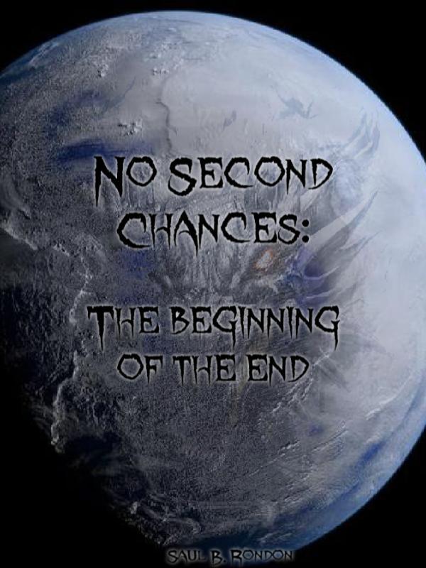 No second Chances: The beginning of the end Book