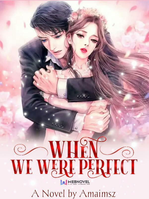 When we were perfect Book