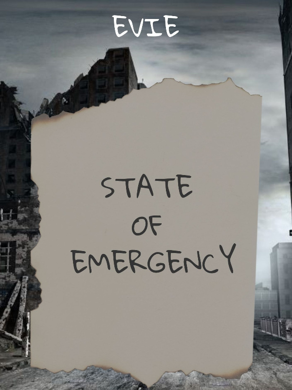 State of emergency Book