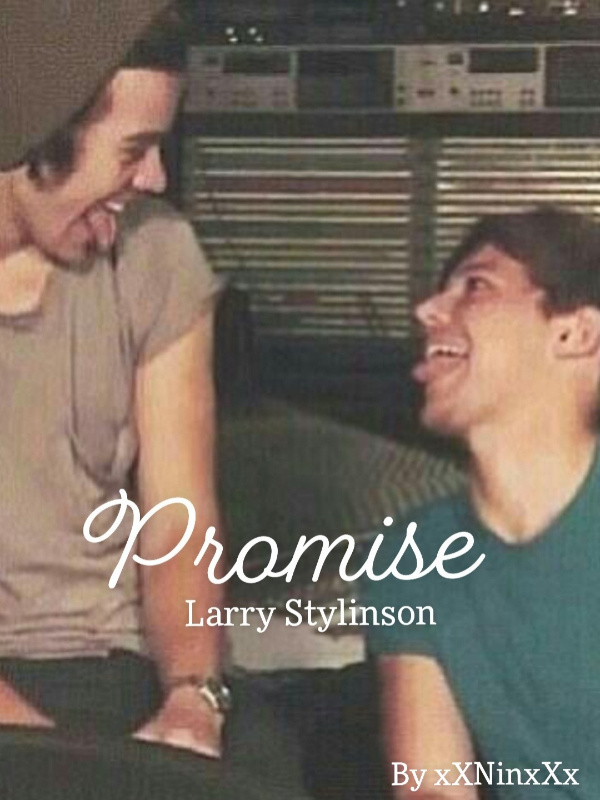 Promise :)
Larry Stylinson Book