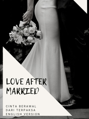 Love After Married Book
